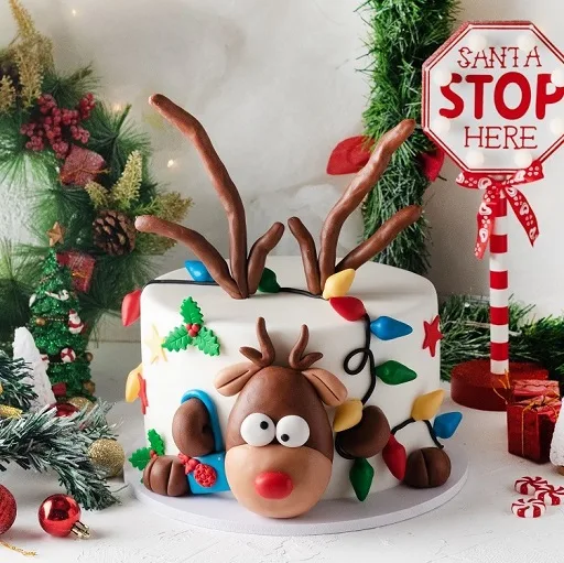 Rudolf Christmas Cake