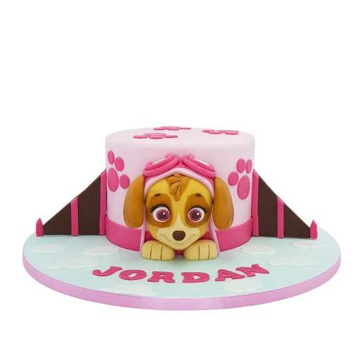 Paw Patrol Skye Jet Cake