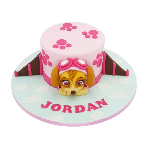 Paw Patrol Skye Jet Cake - Image 2